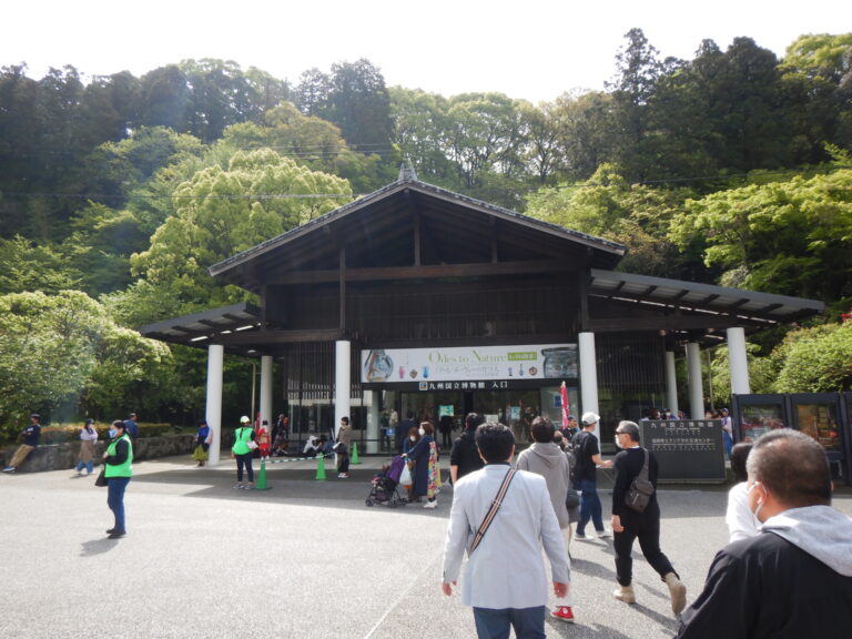 九州国立博物館　入口