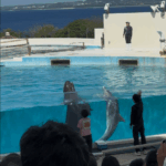 森本トレーナー