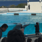 森本トレーナー